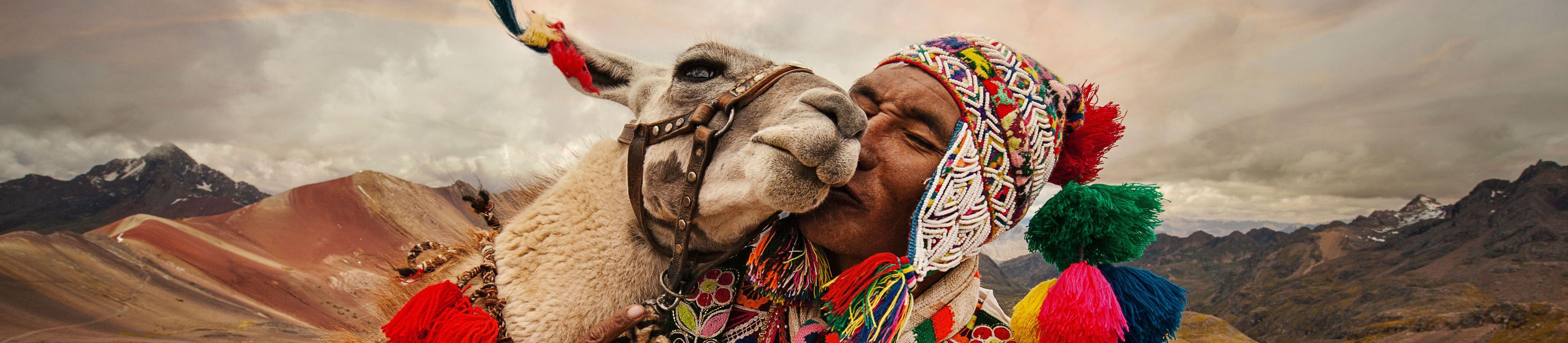 A man lovingly kisses his llama on the heights of the mountain of seven colors, Cusco Peru. - Image ID: 2T57XXC (RF)